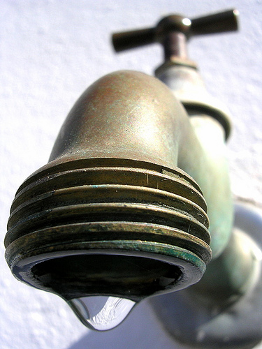 grifo-flickrcomphotosziga-zaga2257783776