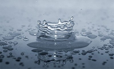 Virtual Fashion Designer Download on Poseable Dog Manakins For Fashion Design For Sale  Artists Poseable