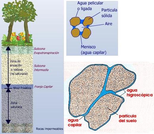 Distribución vertical de aguas en el subsuelo, agua capilar y agua ligada