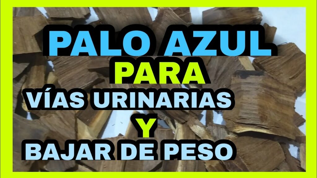 Descubre los increíbles beneficios y usos del agua de palo azul ¡la