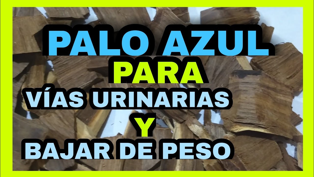 Descubre los increíbles beneficios y usos del agua de palo azul ¡la