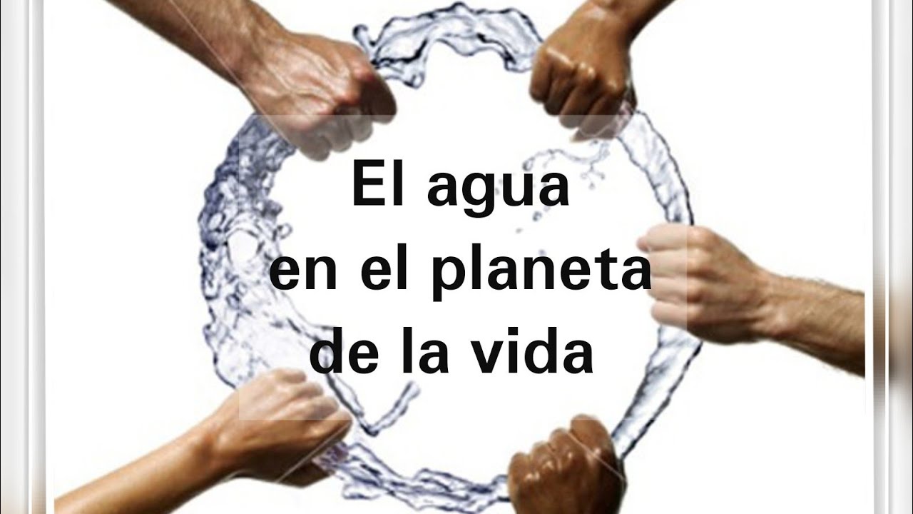 ¿Cuál Es La Importancia Del Agua En El Planeta – ILAR